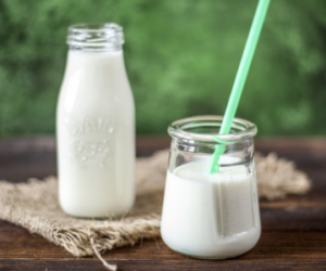 People with lactose intolerance cannot drink or digest milk properly